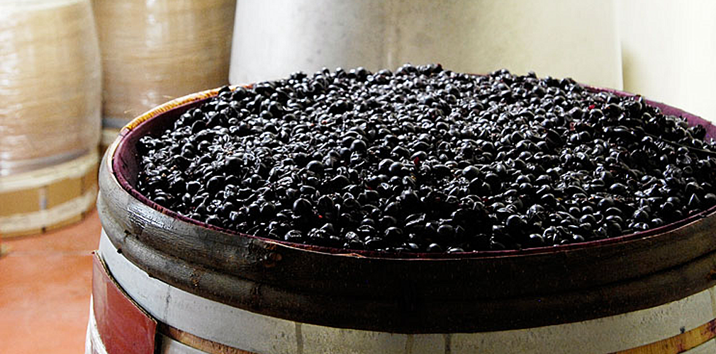 Winespeak 101 Carbonic Maceration