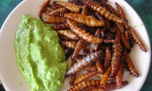 Chinicuiles