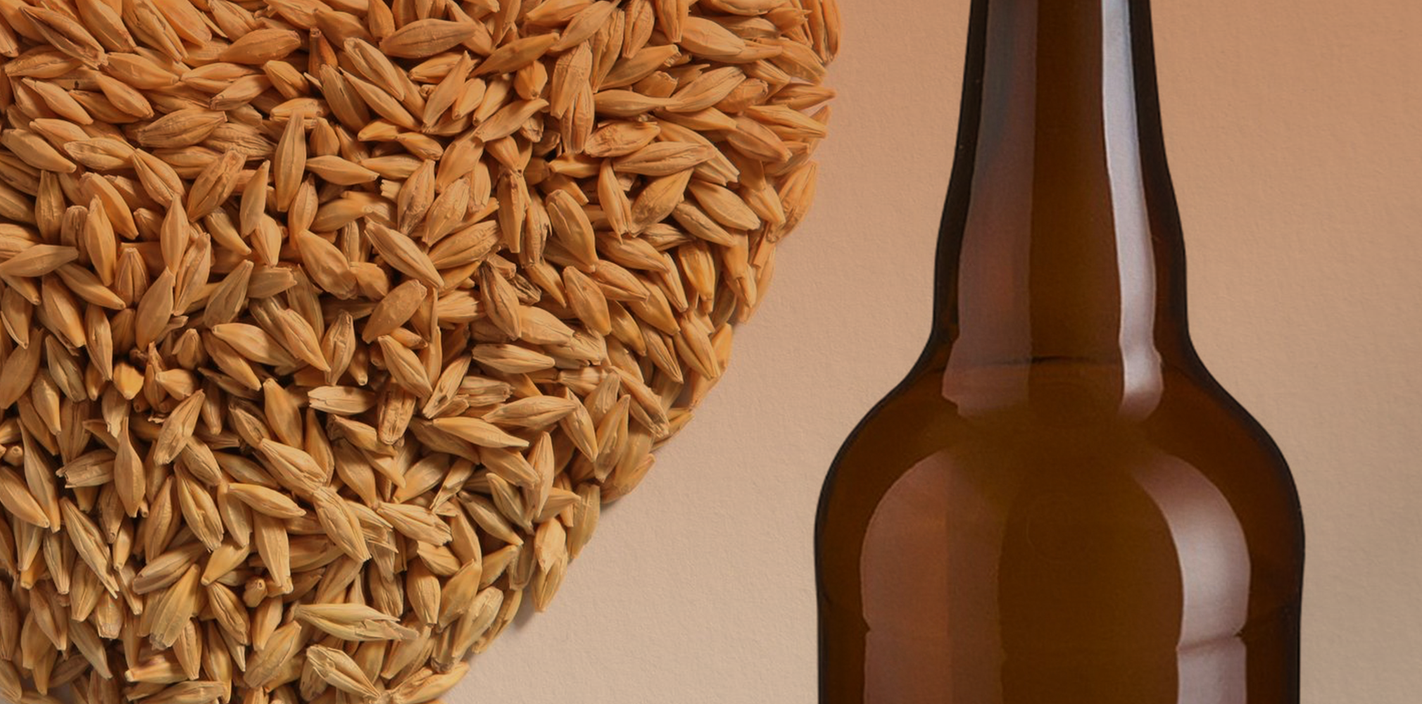 What Is Barley Wine 