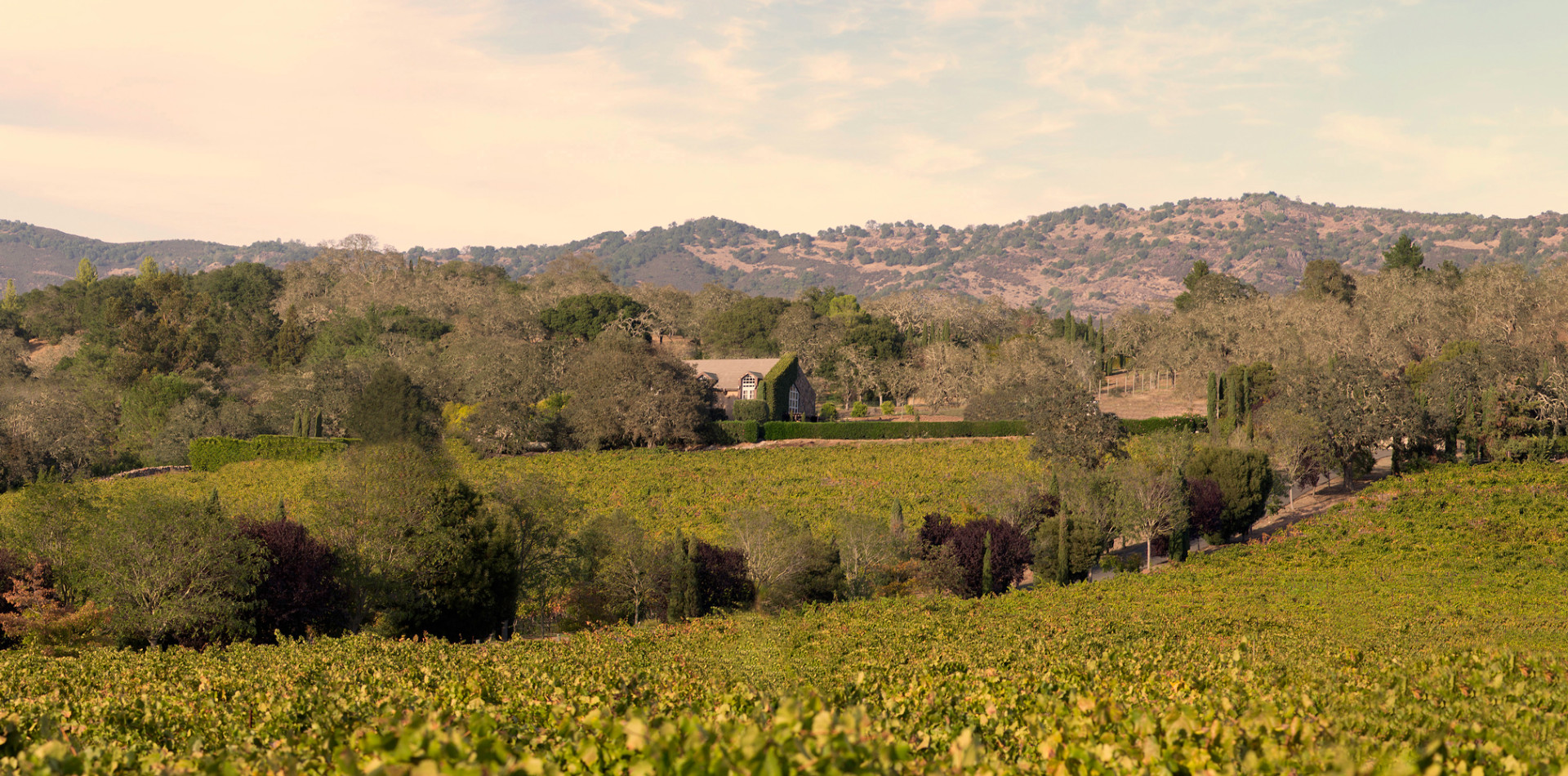 Top 10 Tasting Rooms in America