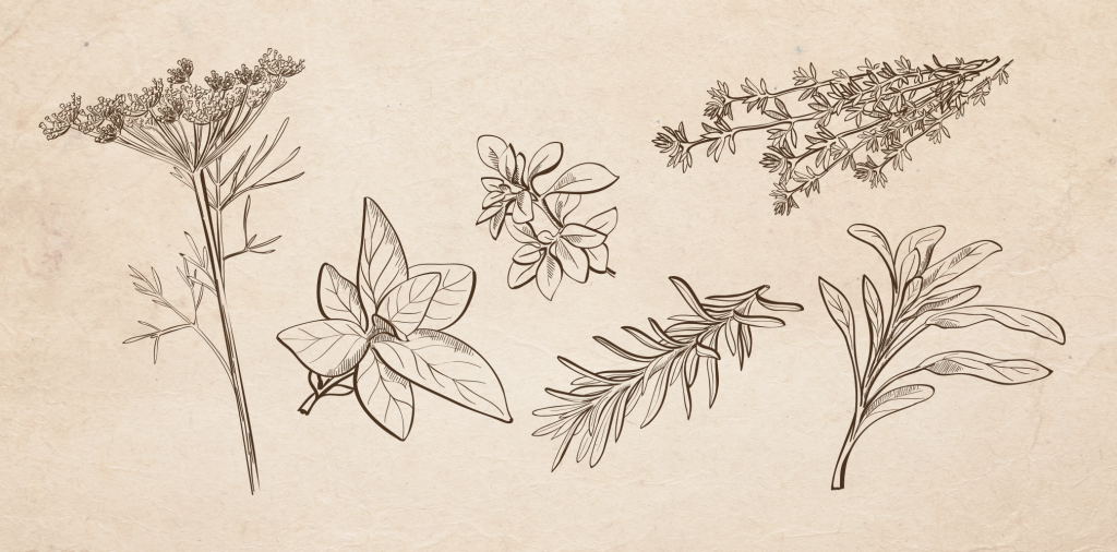 What is Herbaceousness in Wine?