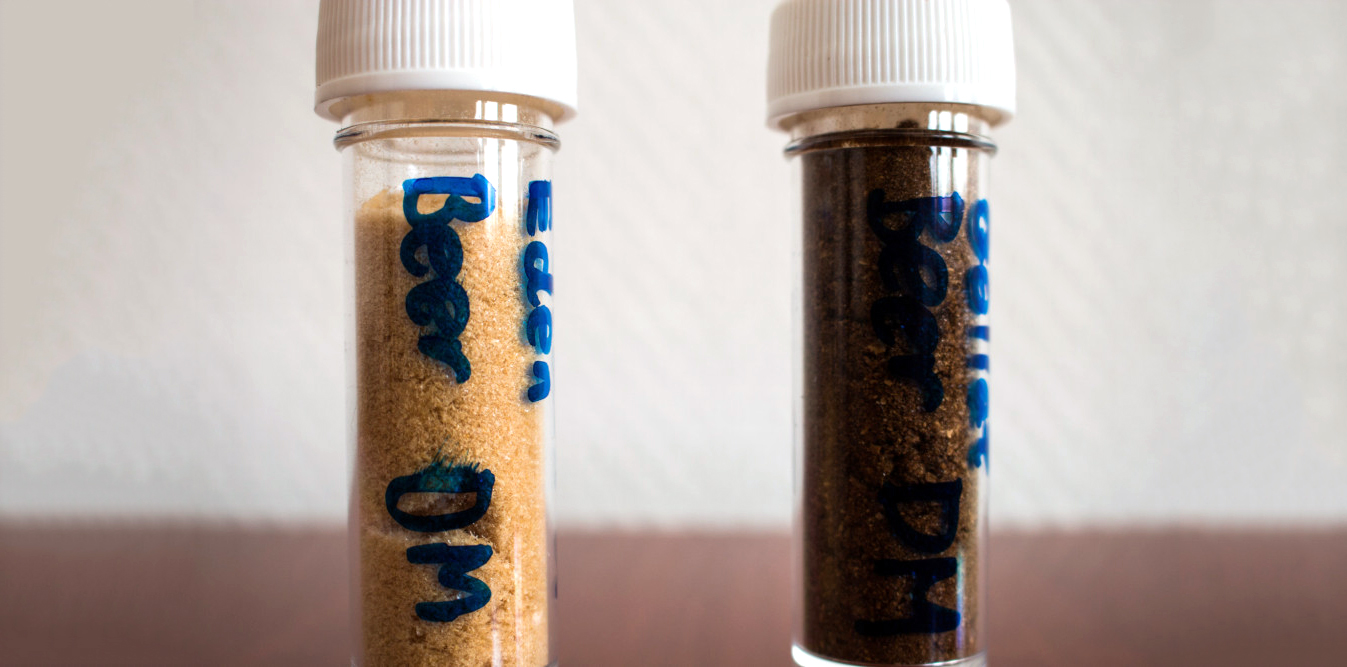 Powdered Craft Beer Will Be Your New Party Trick