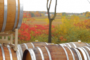 Winemaking in the Finger Lakes