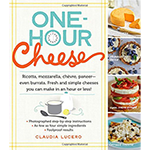 One-Hour Cheese