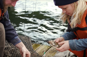 Drinking Wine Could Help Save Underwater Ecosystems