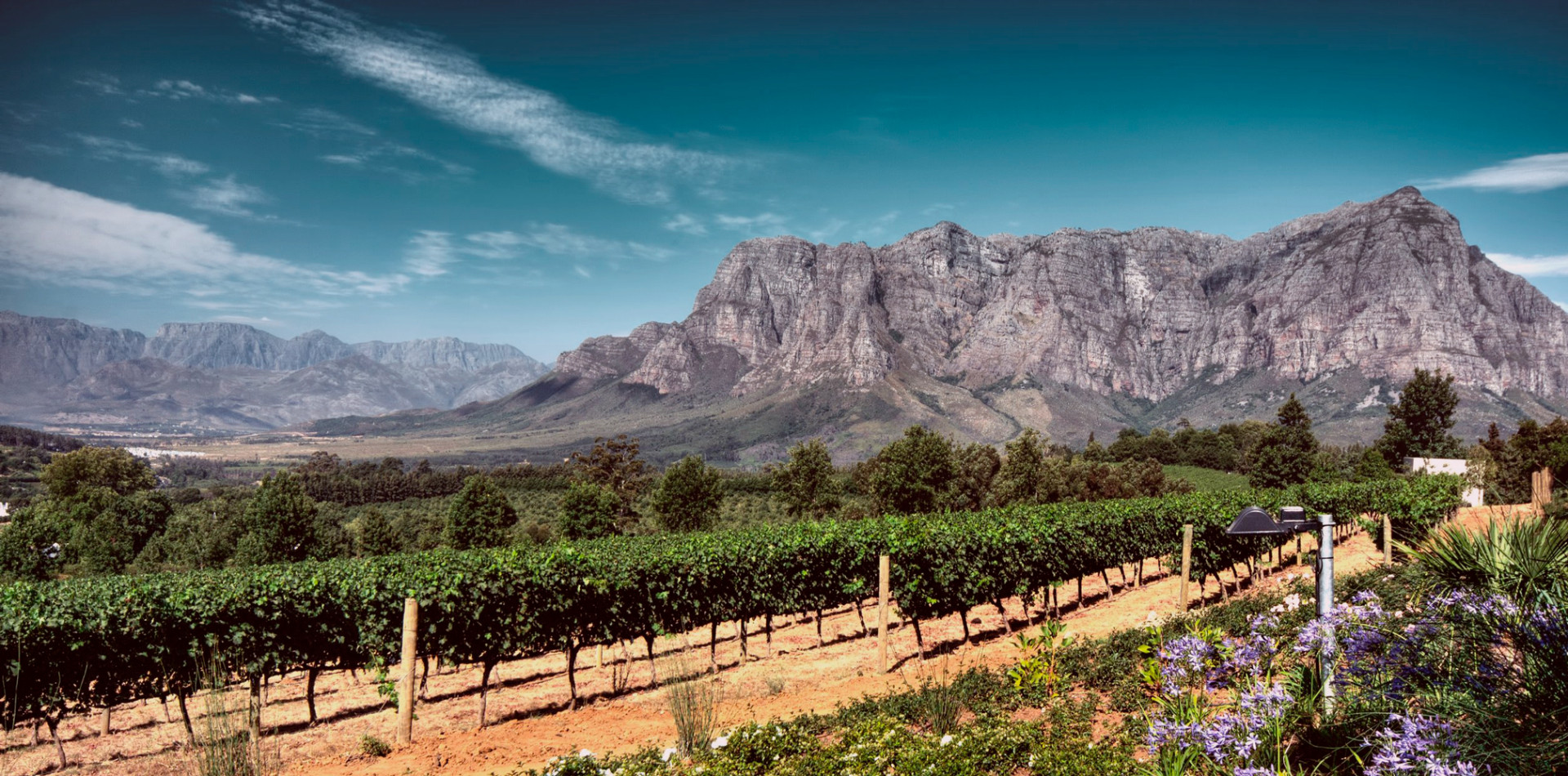 stellenbosch tourism centre