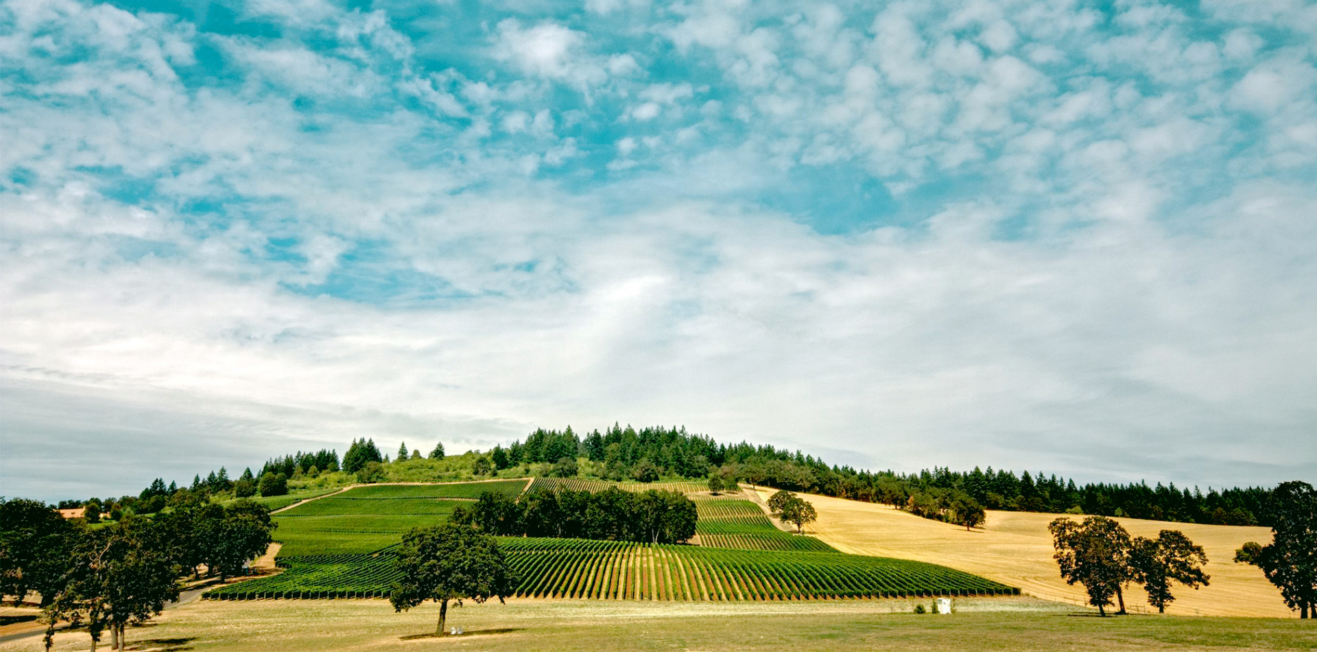 Appellation Appreciation Willamette Valley