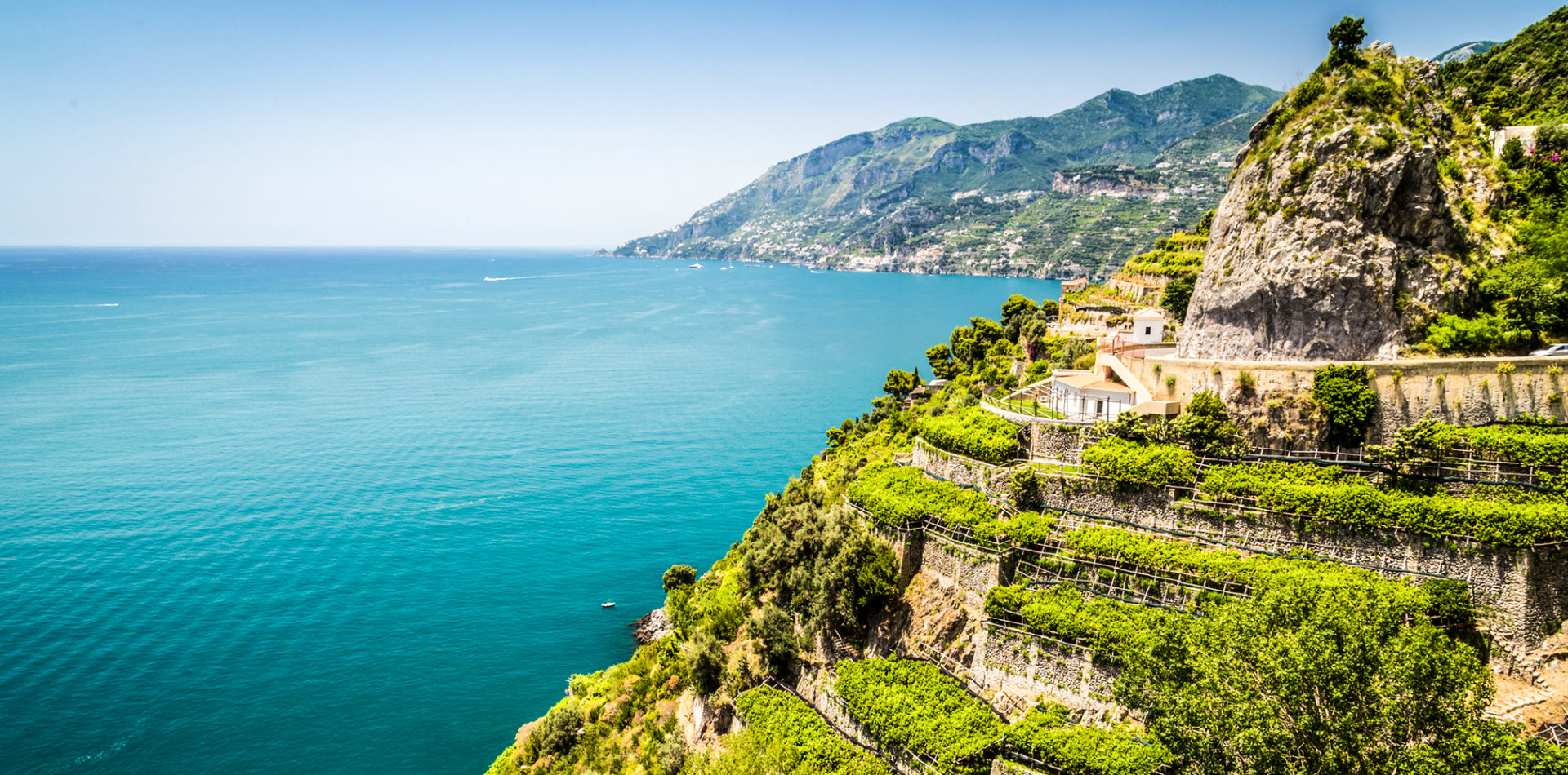 The Wines of Campania