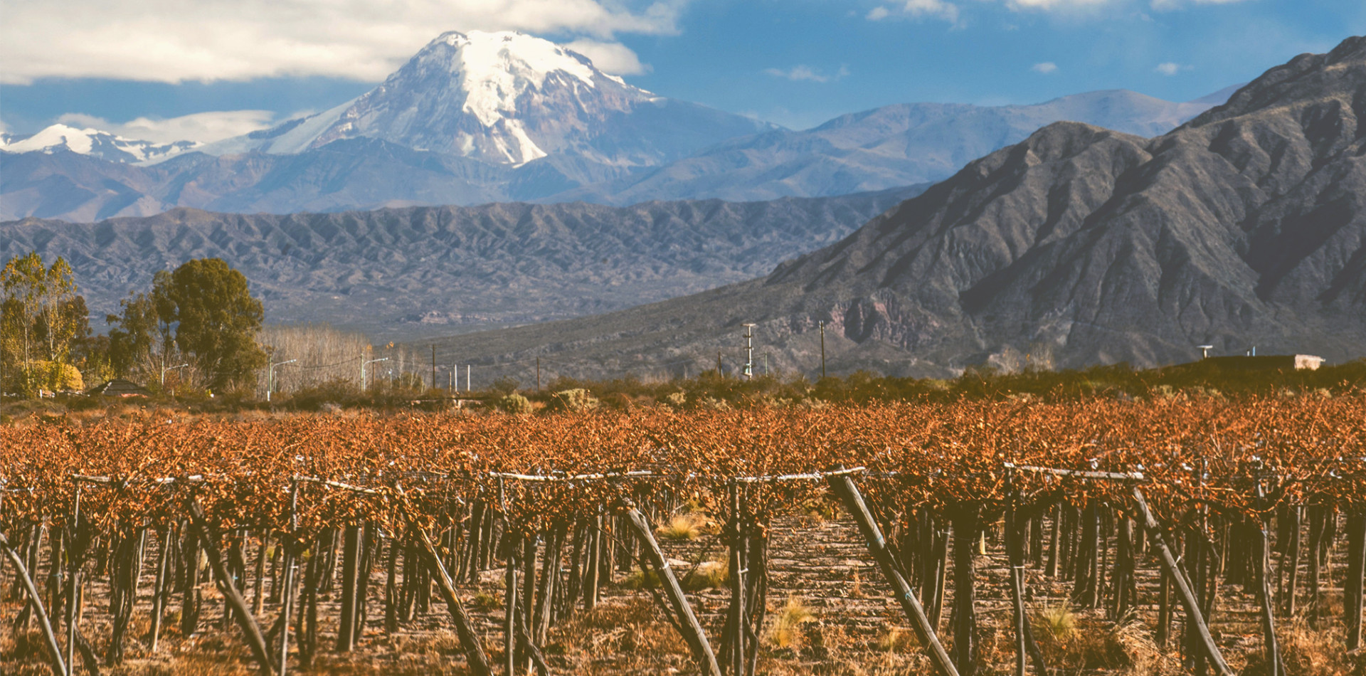 The Wines of Patagonia